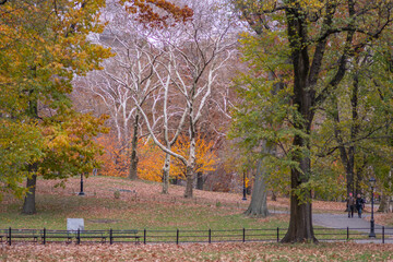 Fall season in Central Park NYC, cold cloudy day.