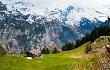 mountain with snow 