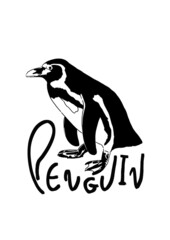 ペンギン