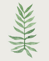 a tropical leaf illustration painted in watercolor style. tropical texture leaves isolated on white for a decorative element. a collection of plant drawings.