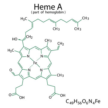 Heme A chemical formula. Organic compound. Part of hemoglobin. Molecular structure. Vector illustration. Stock image. 