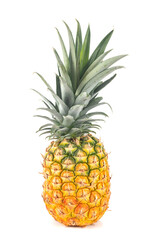 pineapple in studio