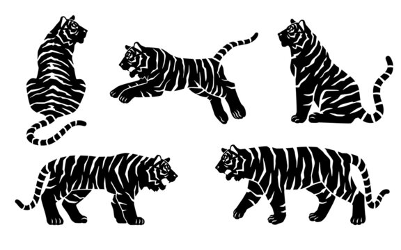 虎 Images Browse 27 746 Stock Photos Vectors And Video Adobe Stock