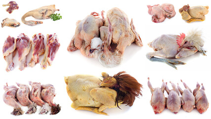 group of poultry meat