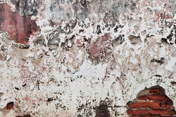 Fototapeta premium close up of concrete cement textured wall for background