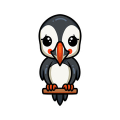 Cute little puffin bird cartoon on tree branch
