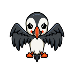 Cute little puffin bird cartoon posing