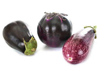 Eggplant Aubergines in studio