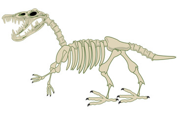 Skeleton of the dinosaur on white background is insulated