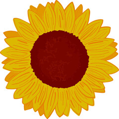 Yellow Sunflower Graphic Vector Image