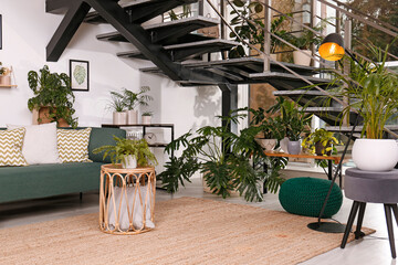 Stylish living room interior with comfortable sofa and green plants