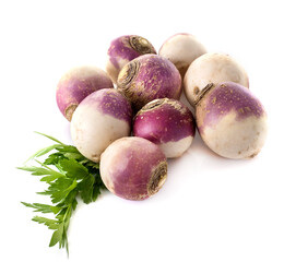 turnip in studio