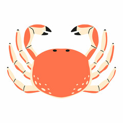  Childrens illustration of crab isolated on white background. Hand-drawn crab in cartoon style.