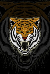 Tiger vector illustration hand drawing
