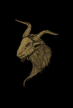Goat artwork illustration hand drawing