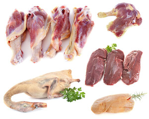 group of duck meat