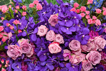 rose snd orchid