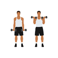 Fototapeta na wymiar Man doing standing dumbbell bicep curls. Flat vector illustration isolated on different layers. Workout character
