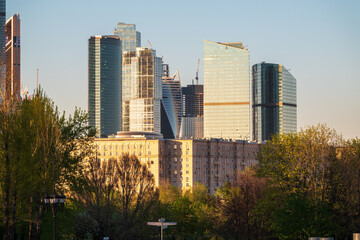 Obraz premium Green trees on background modern skyscrapers in the Moscow city.