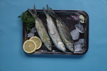 Milkfishes photography for business and presentation