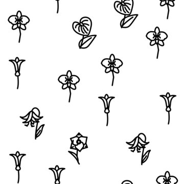 Flower Natural Aromatic Plant Vector Seamless Pattern Thin Line Illustration