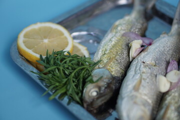 Milkfishes photography for business and presentation