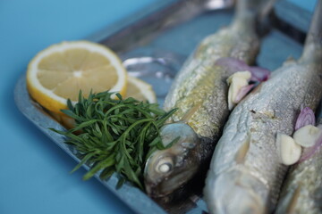 Milkfishes photography for business and presentation
