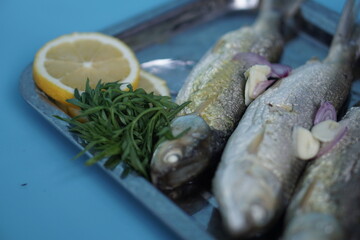 Milkfishes photography for business and presentation