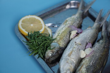 Milkfishes photography for business and presentation