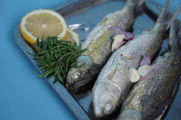 Milkfishes photography for business and presentation