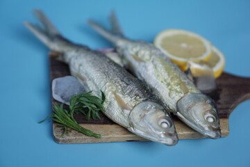 Milkfishes photography for business and presentation