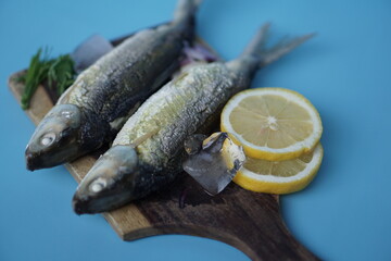 Milkfishes photography for business and presentation