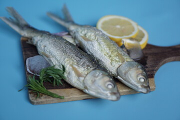 Milkfishes photography for business and presentation materials