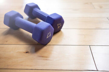 Two small purple dumbbells laying on a hardwood floor inside a gym 