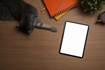 Above view cute cat, digital tablet, notebook and houseplant on wooden table.