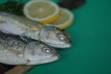 Milkfishes photography for business and presentation materials