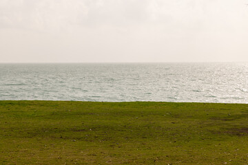 Green grass and seascape background