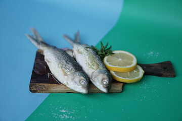 Milkfishes photography for business and presentation 