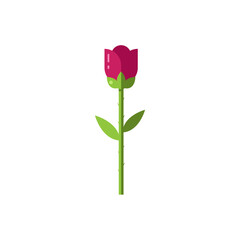 Rose in flat design. Flower on an isolated white background. Vector stock illustration