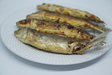 Milkfishes photography for business and presentation 