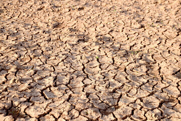 texture, dry, stone, ground, brown, earth, abstract, cracked, soil, nature, pattern, drought, desert, rock, land, mud, surface, dirt, rough, clay, textured, natural, crack, material, coffee