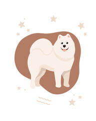 Cute white smiling dog with stars. A beautiful vector Samoyed dog on abstract background.