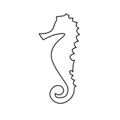 sea horse seahorse  © wedevlops.com