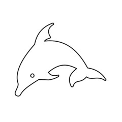 dolphin