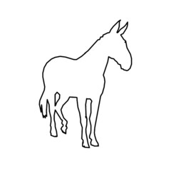 horse
