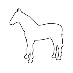 horse pony
