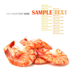 shrimps on a white background