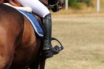 Springsport