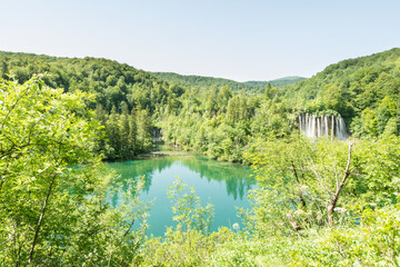 lake in the green forest