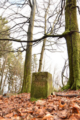Grenzstein im Nationalpark Hunsrück-Hochwald